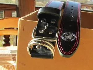 Leather Safety Collar for Pit Bull Terriers