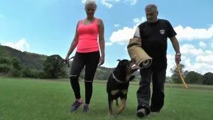 Professional Leather Dog Training Sleeve