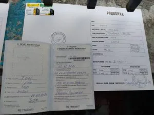 Hitno! Sopovi,mužijak i ženka traže dom!