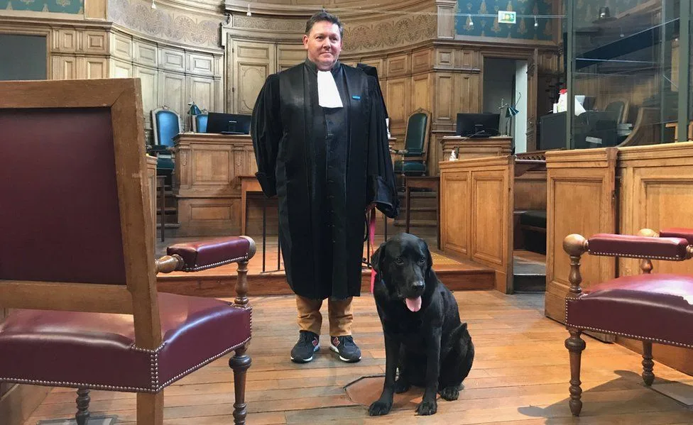 INVOLVED IN 80 DIFFERENT CASES: Lol is the dog who helps crime victims PHOTO
