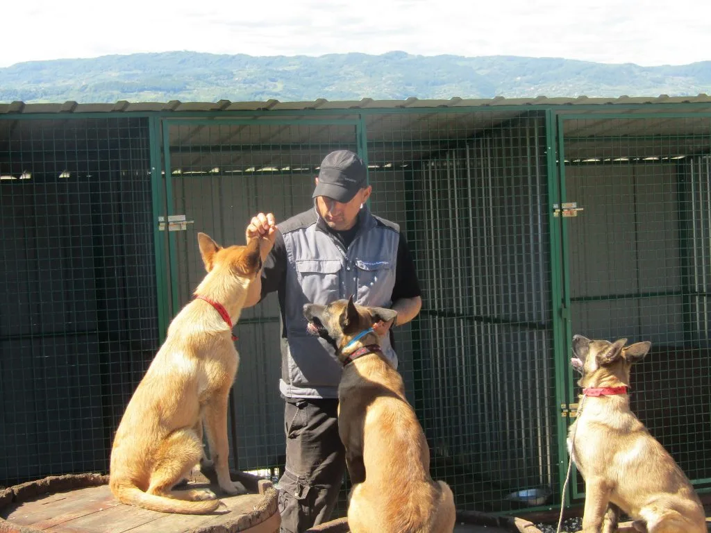 EVERYTHING FOR DOGS IN ONE PLACE