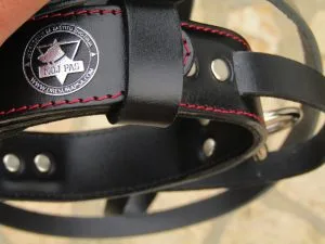 Working Collar for Dog Training