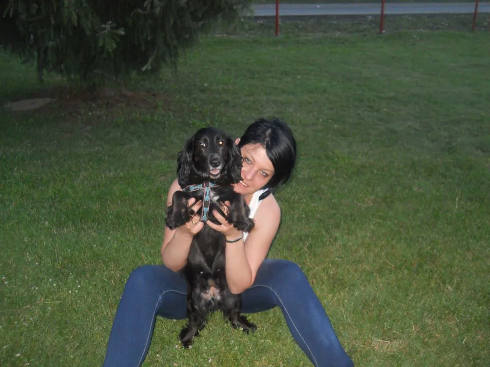 Banja Luka Spay and Neuter Project