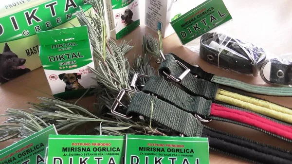 Diktal Green