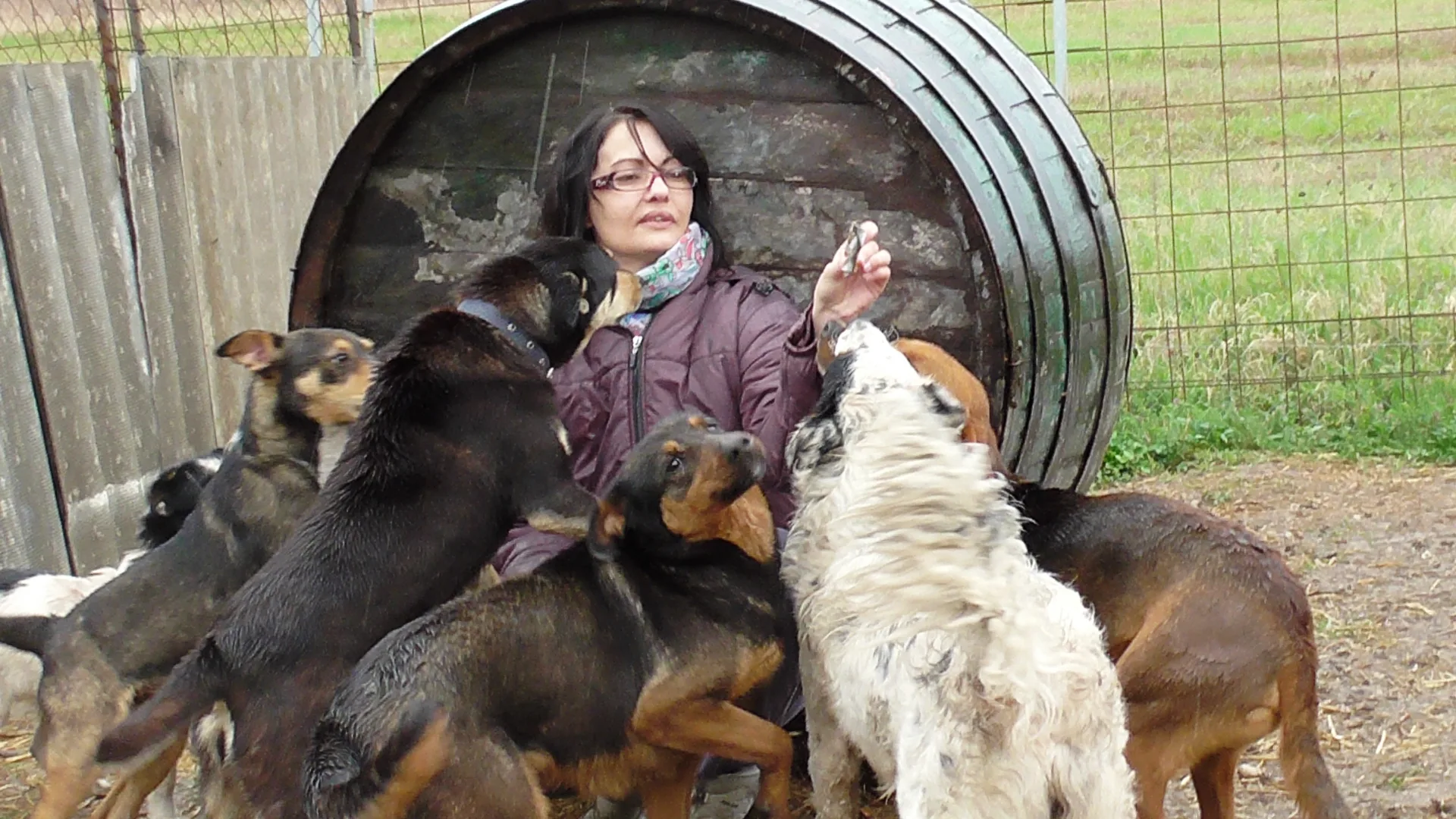Love for animals knows no borders