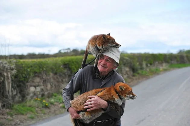 GRATITUDE TO THE SKIES: This man saved two foxes and they have followed him everywhere ever since!