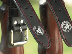 Working Collar for Dog Training