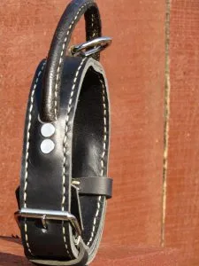 PROFESSIONAL DOG TRAINING COLLAR