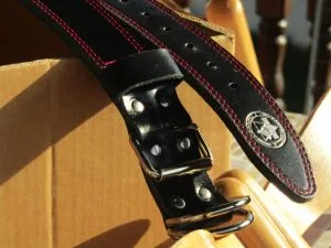 Leather Safety Collar for Pit Bull Terriers