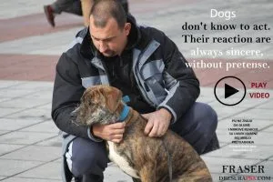 INSTINCTIVE DRIVES IN DOGS