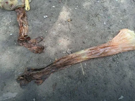 Krvave rukavice pronađene na licu mesta