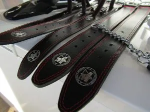 Leather Safety Collar for Pit Bull Terriers
