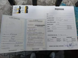 Hitno! Sopovi,mužijak i ženka traže dom!