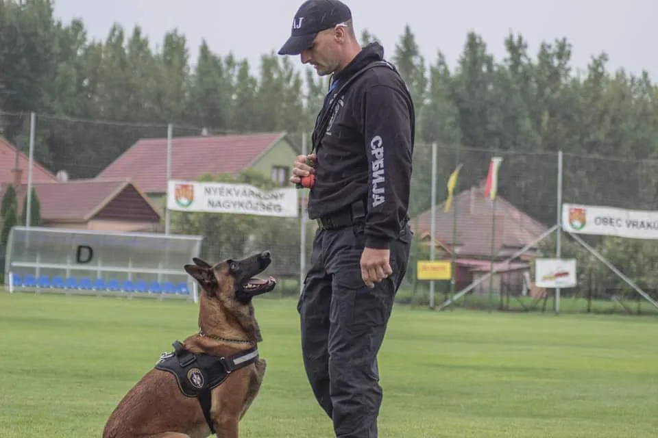Odgajivačnica Belgijskih ovčara – Malinoa