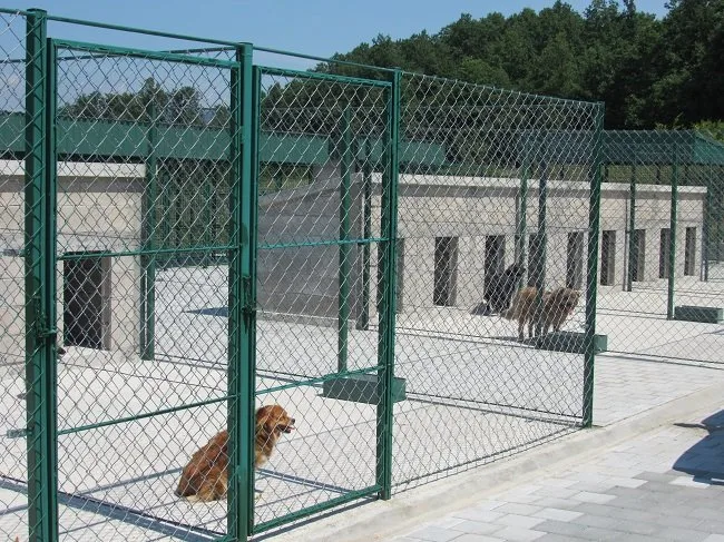 Čačanski azil za pse počeo sa radom