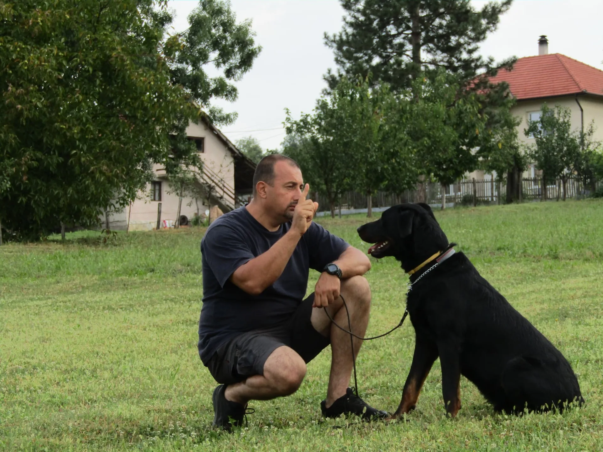 Šta znači sanjati psa