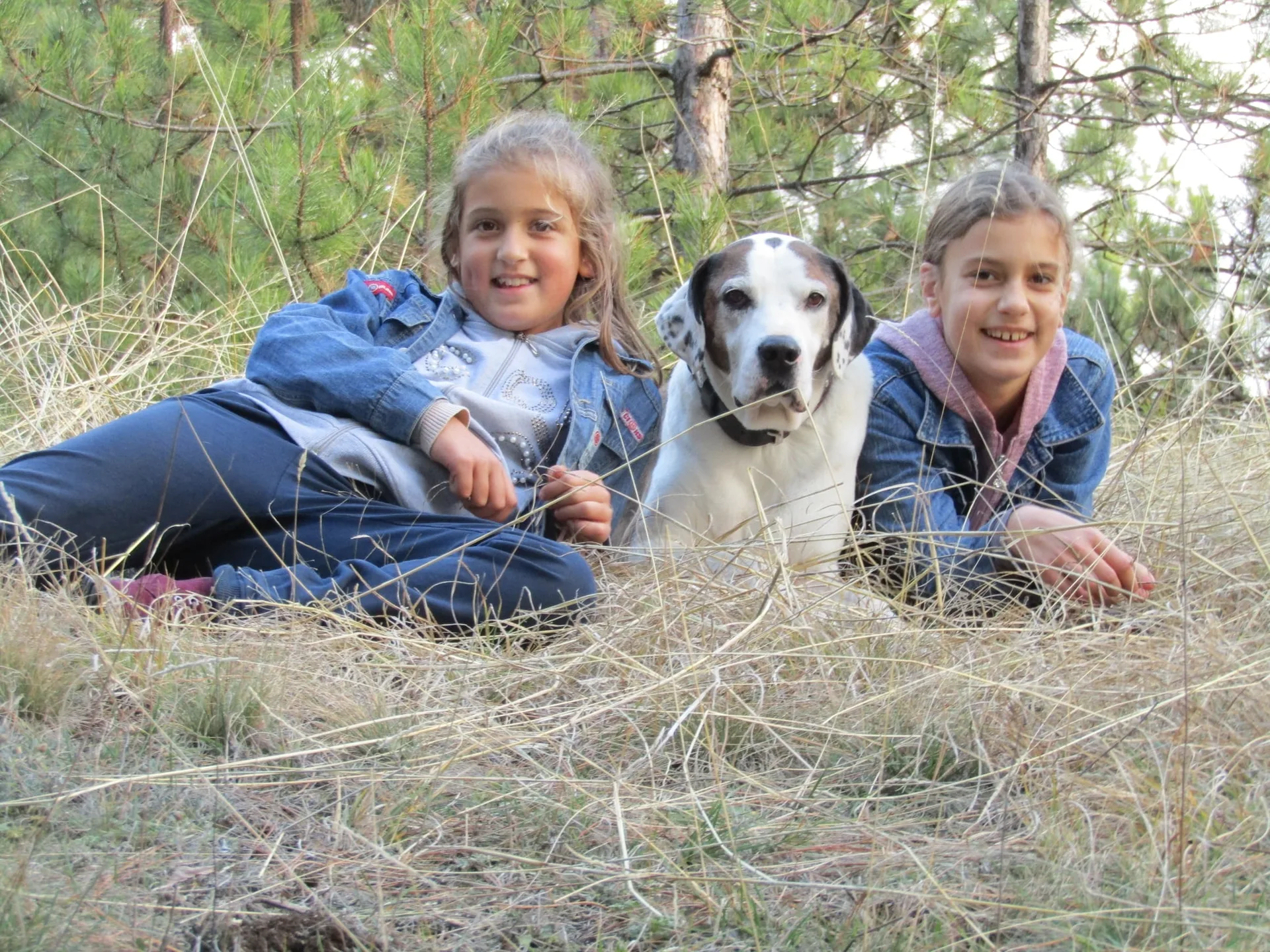 Children who learn to communicate with dogs and take part in their training develop a range of important life skills