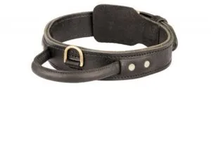 PROFESSIONAL DOG TRAINING COLLAR