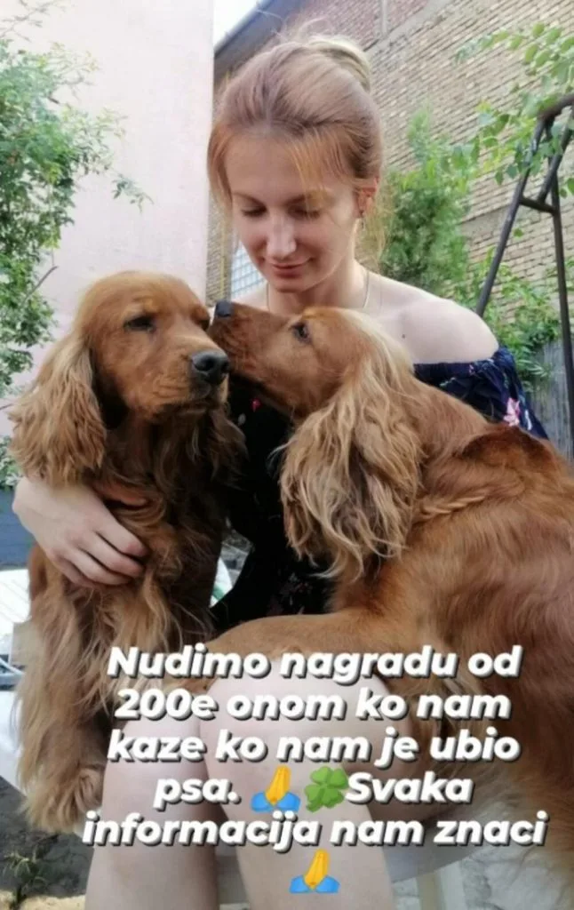 IVANA OFFERS 200 EUROS FOR INFORMATION ABOUT THE MONSTER WHO KILLED HER DOG: He shot an innocent animal, and a child could have been there (PHOTO)