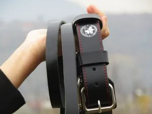 Working Collar for Dog Training