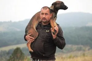 THE 10 MOST COMMON PROBLEMS WITH DOGS
